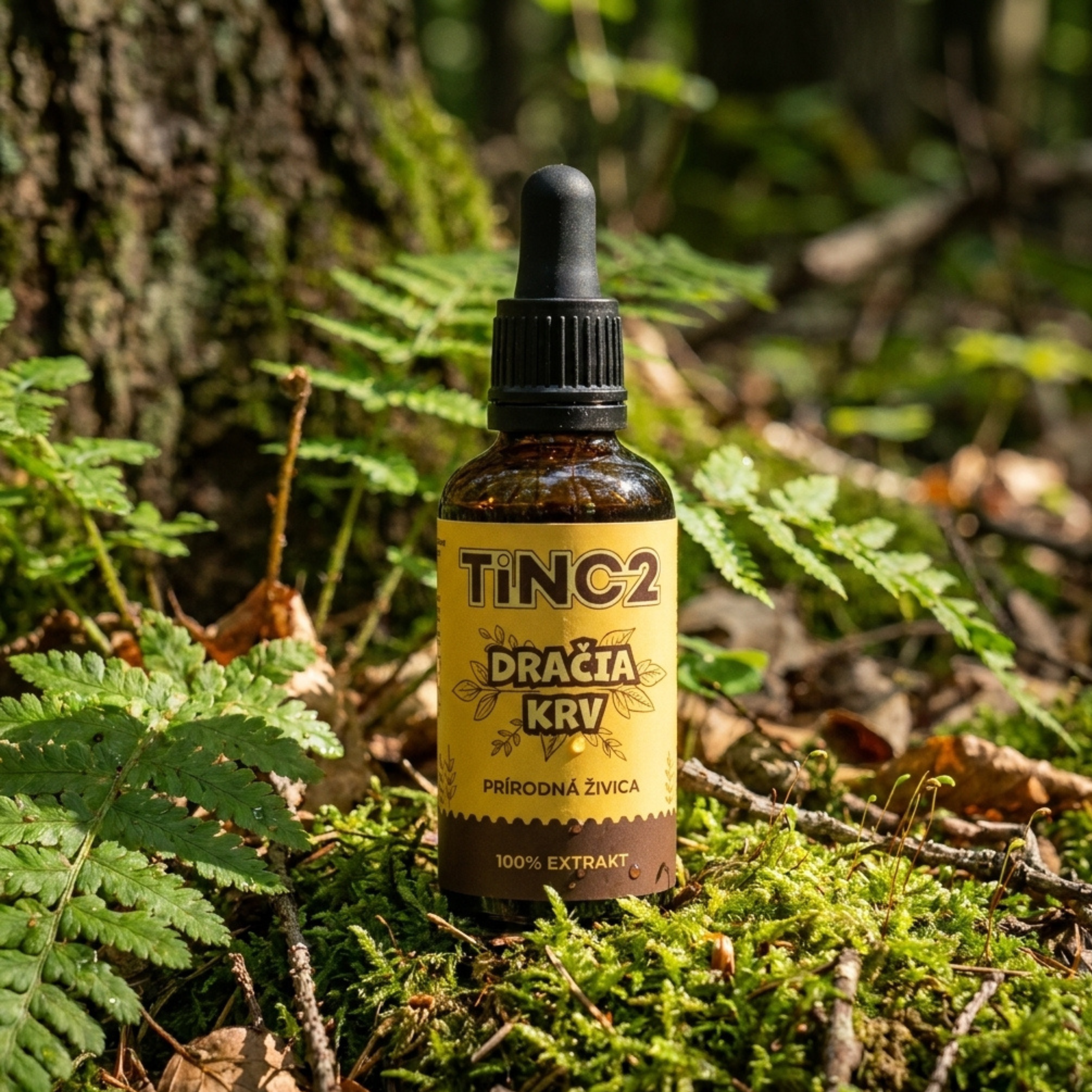 dračia krv panakeia